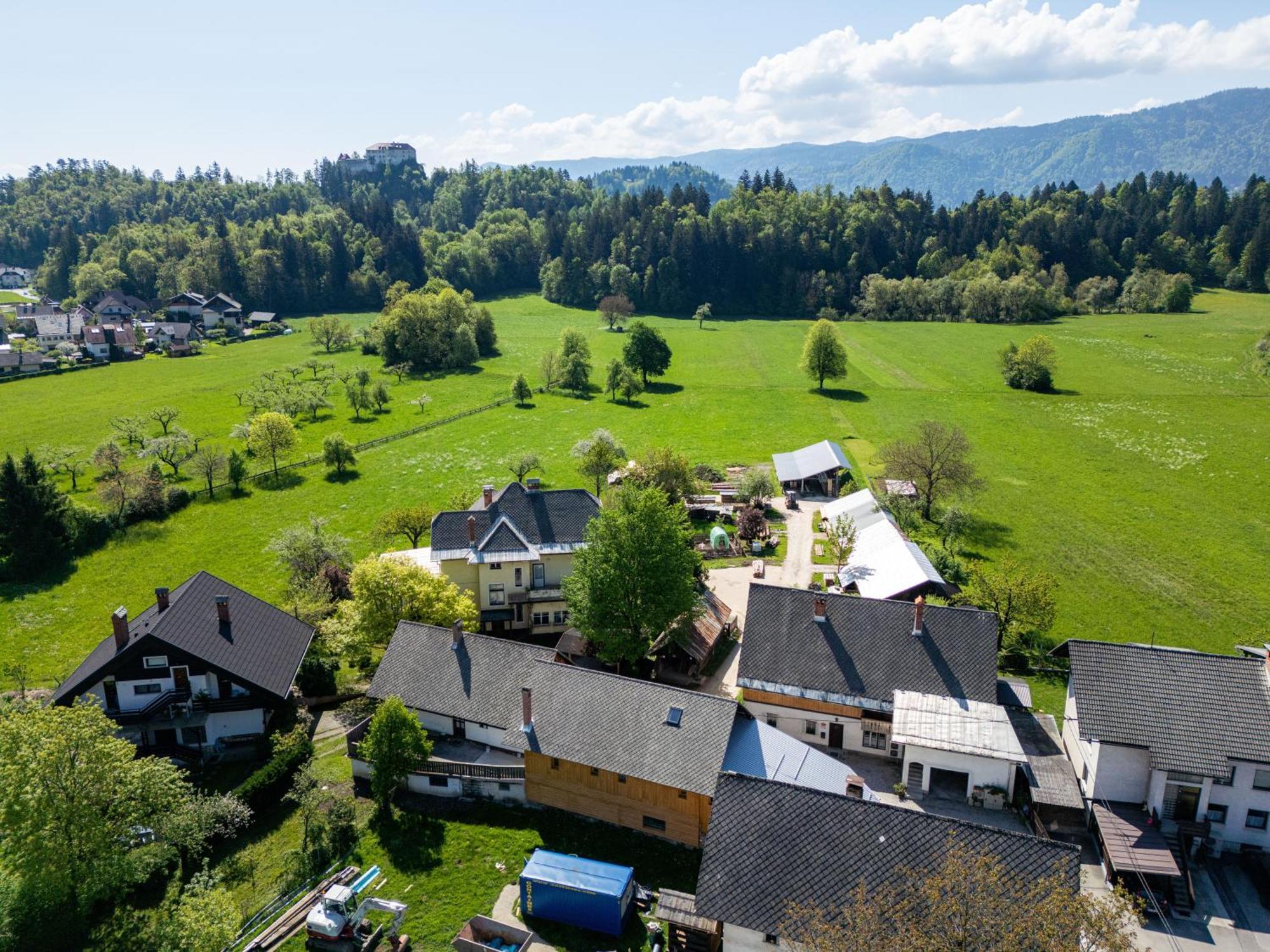 House, Garden And A Green Cat Bled Exterior foto