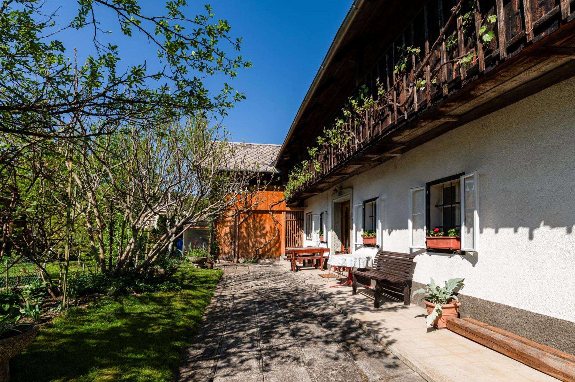 House, Garden And A Green Cat Bled Exterior foto